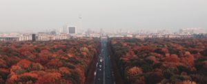 web design berlino - studio up